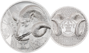 2022, Argali, Mongolei
