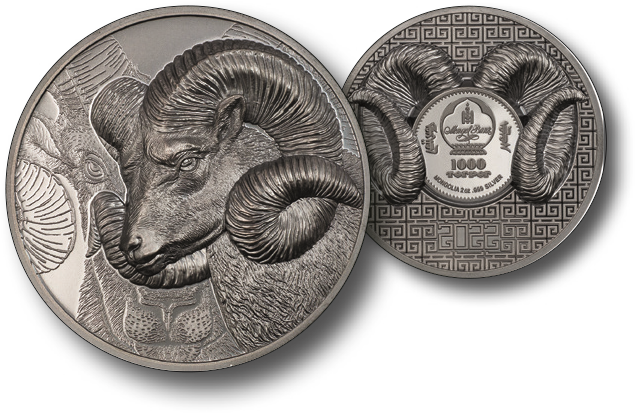 2022, Argali, Mongolei