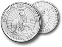 2022, Eisbär, Canada