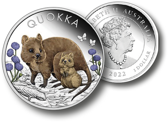 2022, Quokka, Australien