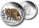2022, Quokka, Australien