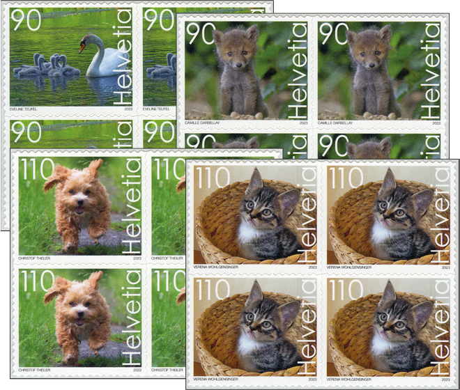 2023, Süsse Tiere
