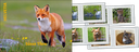 2023, Süsse Tiere