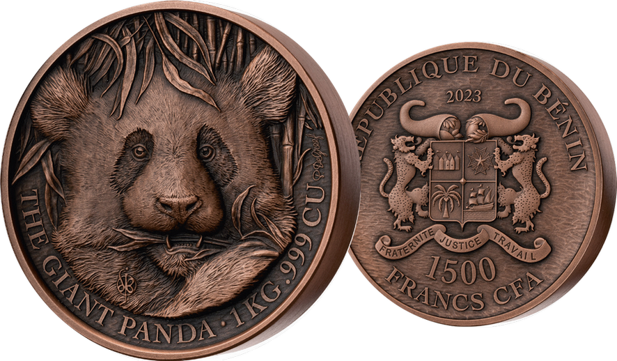 2023, Giant Panda, Benin