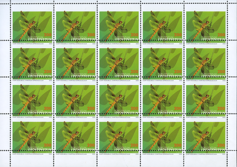 2020, Libellen II, Druckverschiebung