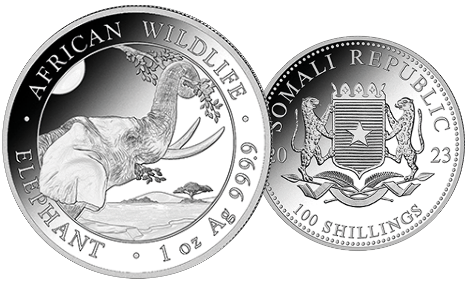 2024, Elefant, Somalia