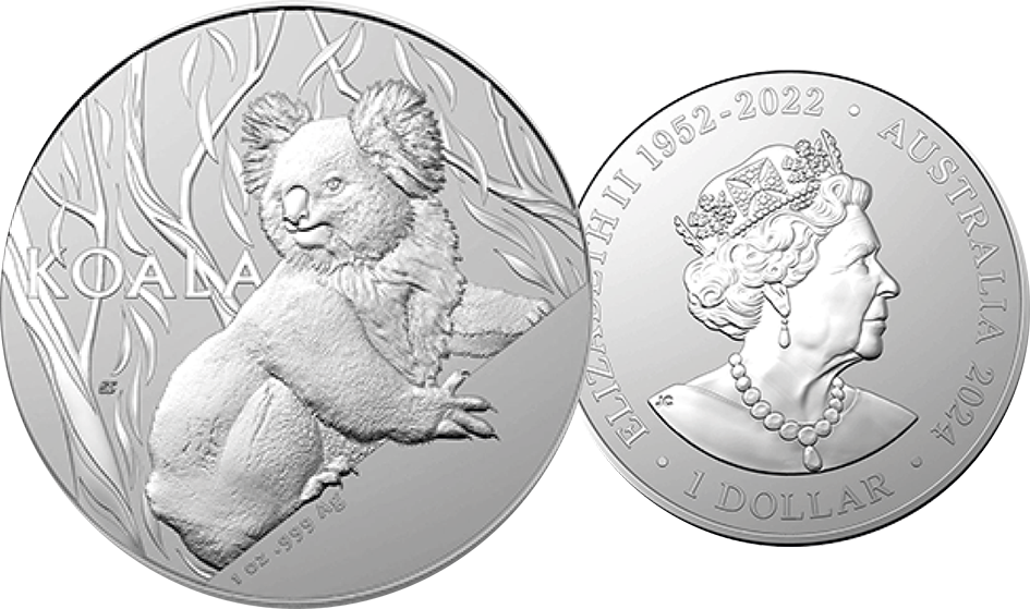 2024, Koala, Australien