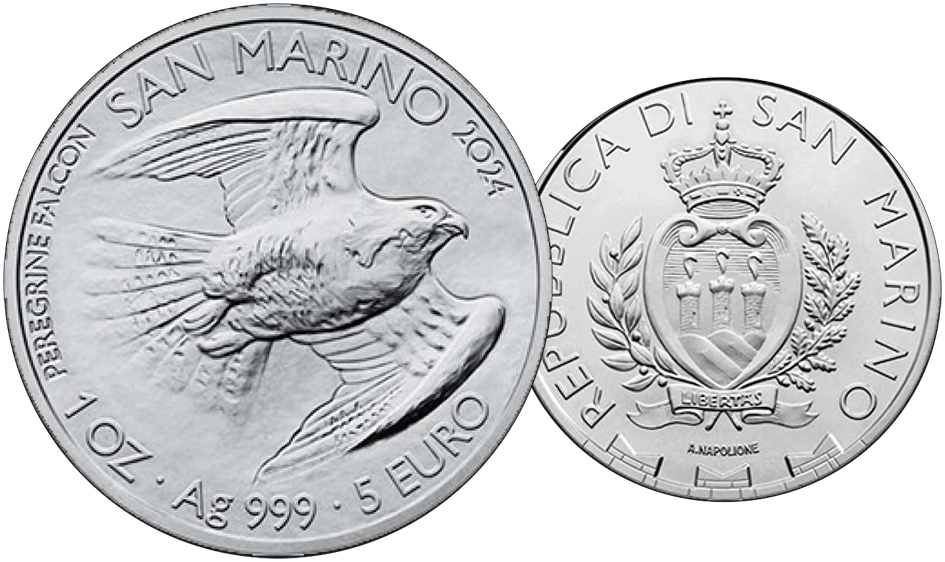 2024, Wanderfalke, San Marino