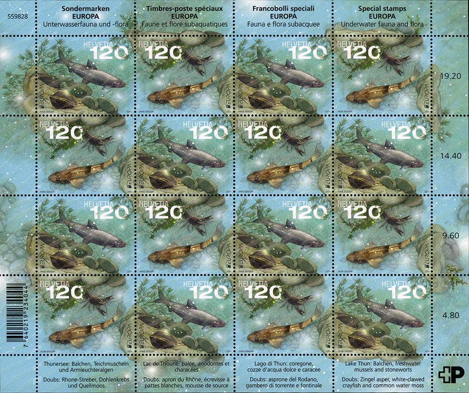 2024, EUROPA - Unterwasserfauna und -flora