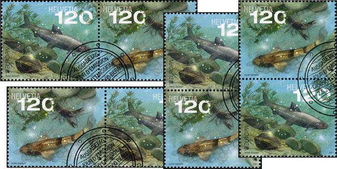 2024, EUROPA - Unterwasserfauna und -flora