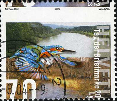 70 Rp. Eisvogel,  Abart "Zähnung um 4 mm verschoben"