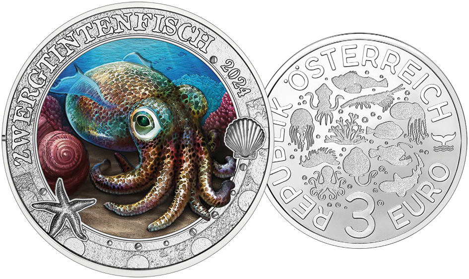 2024, Zwergtintenfisch, Österreich
