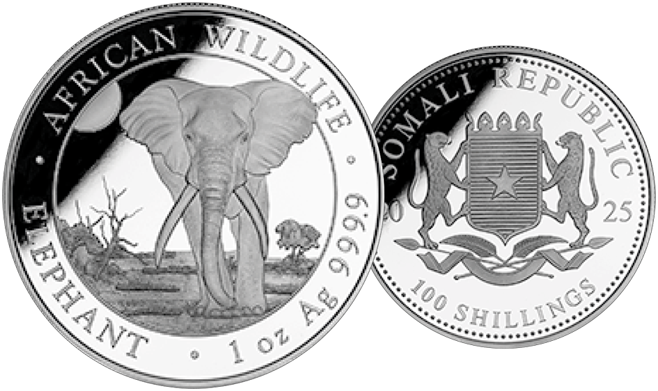 2025, Elefant Somalia