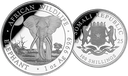 2025, Elefant Somalia