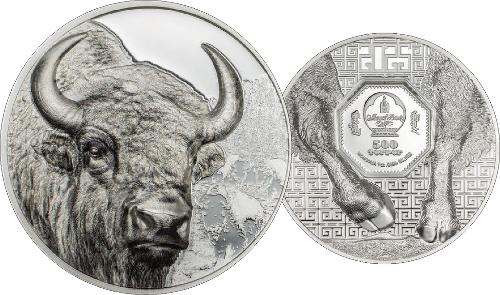 2025, Bison, Mongolei