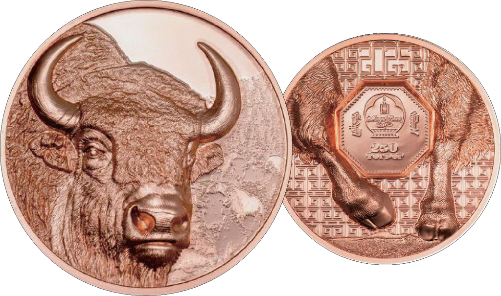 2025, Bison, Mongolei