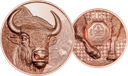 2025, Bison, Mongolei