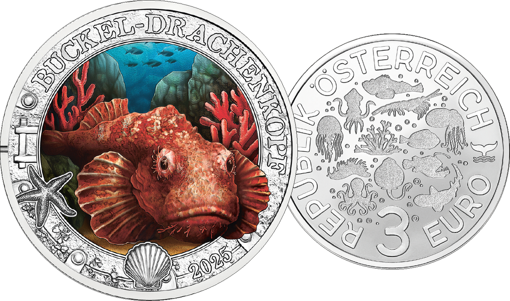 2025, Buckel-Drachenkopf, Österreich