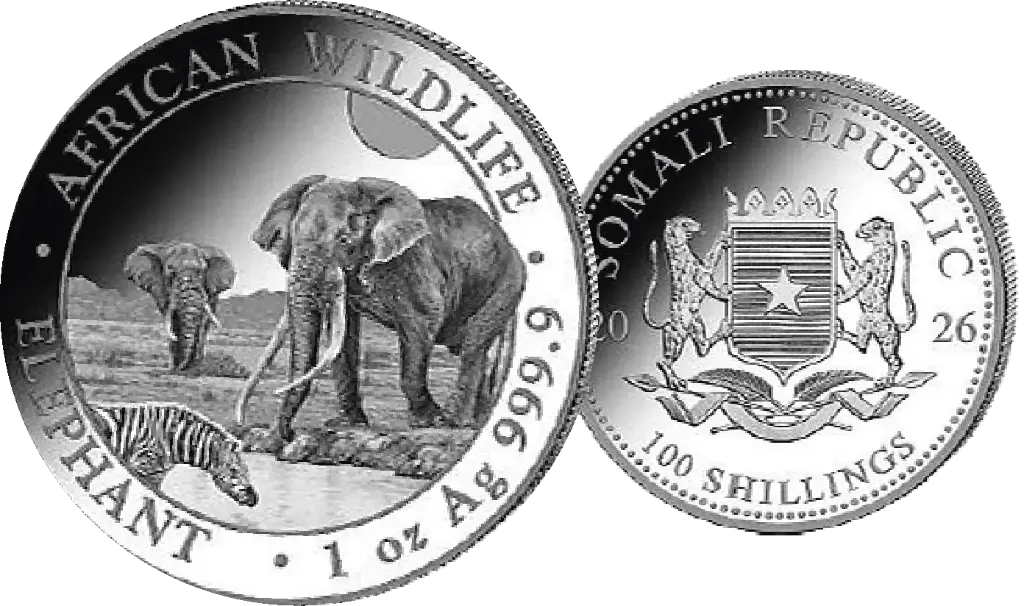 2026, Elefant, Somalia