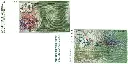 50 Franken Banknote Schweiz, 6. Emission (1978-1992)