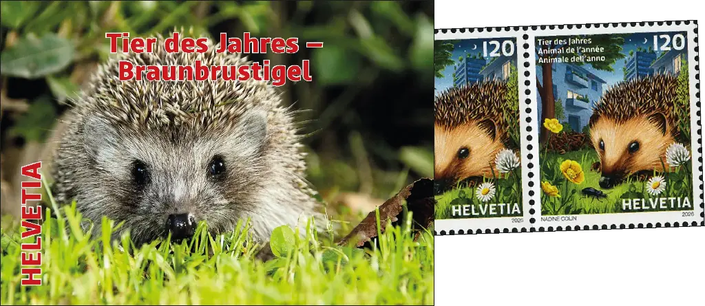 2026, Tier des Jahres - Braunbrustigel