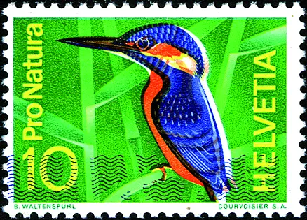 10 Rp. Eisvogel, "Breite Druckverschiebung" der Druckfarben, sog. "Eisvogel mit Schneepelz"