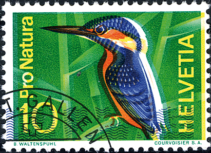 10 Rp. Eisvogel, &quot;Breite Druckverschiebung&quot; der Druckfarben, sog. &quot;Eisvogel mit Schneepelz&quot;