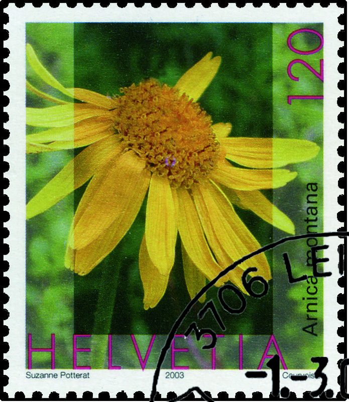 120 Rp. Arnika Bergwohlverleih