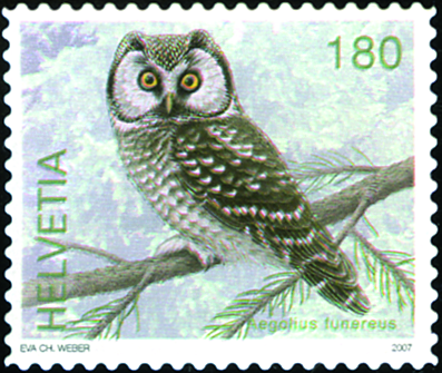 180 Rp. Raufusskauz, durchgehende Stanzung