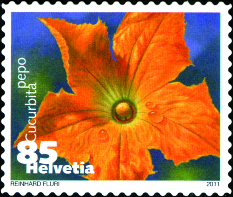 2011, Gemüseblüten