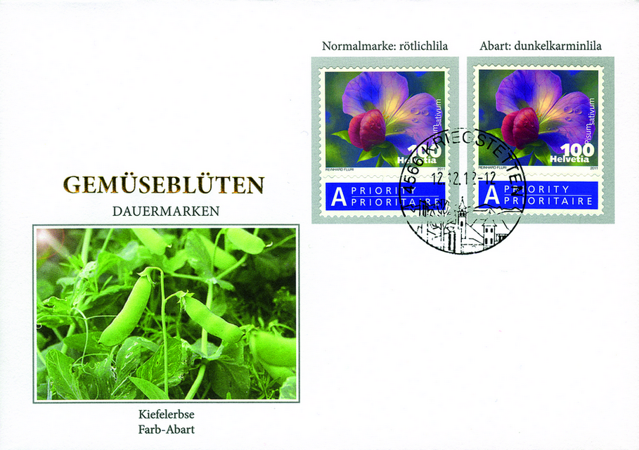 100 Rp. Kiefelerbse, "Blüte dunkelkarminlila statt rötlichlila"