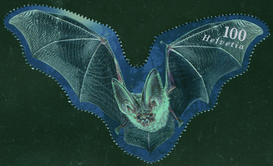 100 Rp. Braunes Langohr