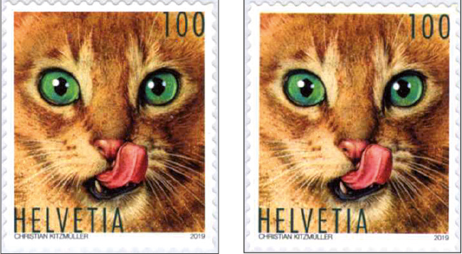 100 Rp. Katze