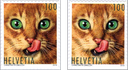 100 Rp. Katze