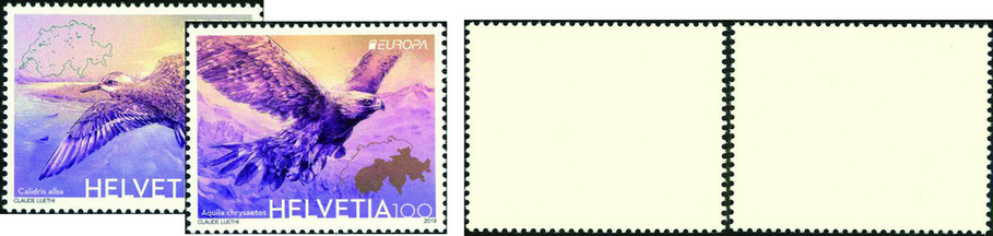 2019, Europa - Vögel