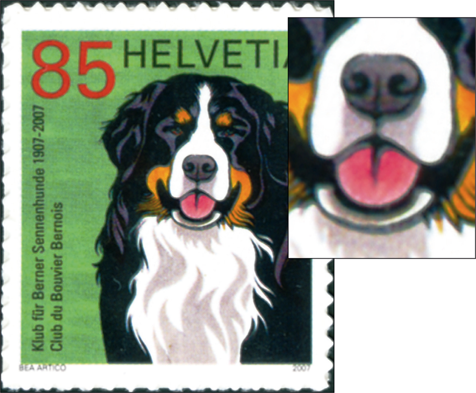 85 Rp. Berner Sennenhund, braune Fellstruktur, "Doppelte Schnauze"