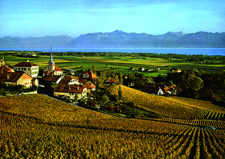 1985, Waage