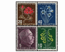 1948, Bildnis General Willes und Alpenblumenbilder