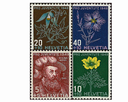 1949, Bildnis Niklaus Wengis und Alpenblumerbilder