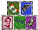 1951, Bildnis Johanna Spyris und Insektenbilder
