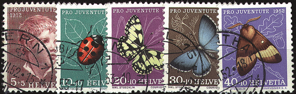 1952, Knabenbildnis und Insektenbilder