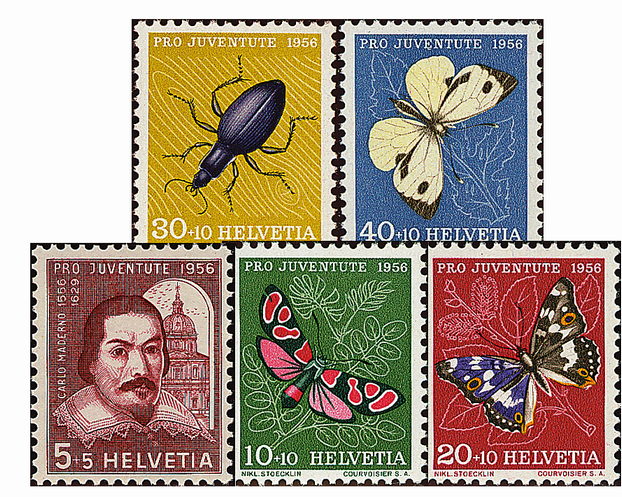1956, Bildnis Carlo Madernos und Insektenbilder