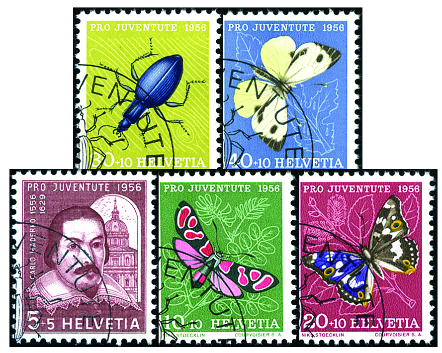 1956, Bildnis Carlo Madernos und Insektenbilder