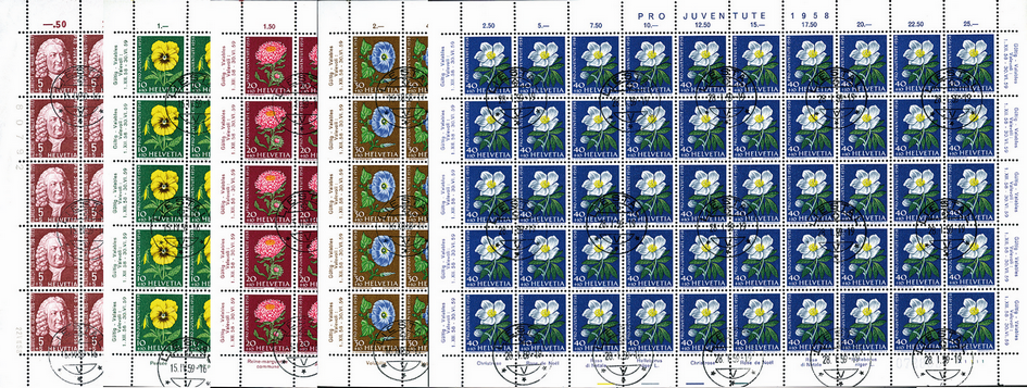1958, Bildnis Albrecht von Hallers, Wiesen- und Gartenblumen