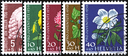 1958, Bildnis Albrecht von Hallers, Wiesen- und Gartenblumen