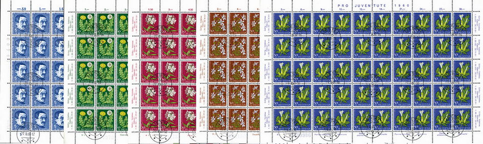 1960, Bildnis Alexandre Calames, Wiesen- und Gartenblumen