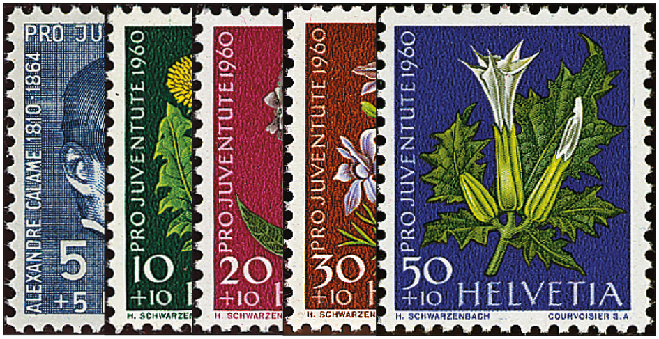 1960, Bildnis Alexandre Calames, Wiesen- und Gartenblumen
