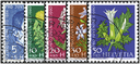 1960, Bildnis Alexandre Calames, Wiesen- und Gartenblumen
