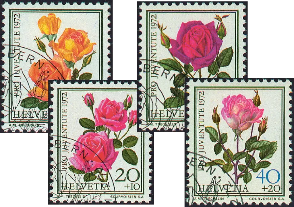 1972, Rosen I