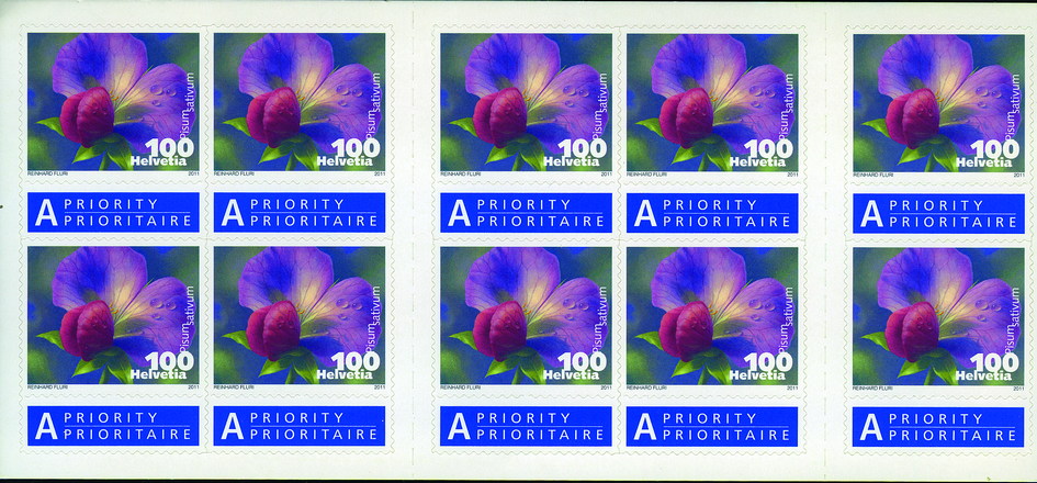 2011, Gemüseblüten Kiefelerbse